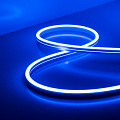12V neon size 8x16