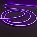 12v LED flexible neon